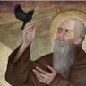 rí Caoimhín profil fotoğrafı