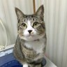 さゆ's profile picture