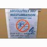 P_nut's profile picture