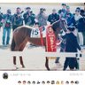 Фото профиля 競馬垢