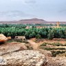 النمر العربي 🐆 ⁦🇸🇦⁩ profil fotoğrafı