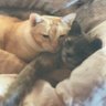 Reidun_YMA_๐'s profile picture