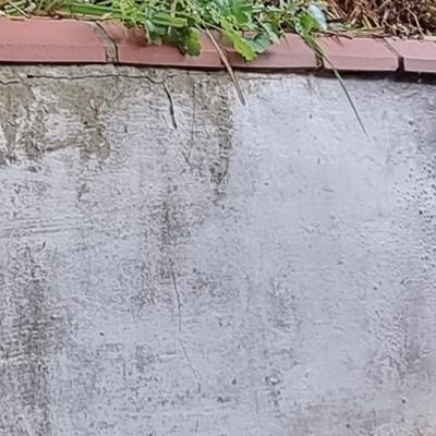 SpicyCollection's profile picture