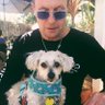 Alan Hill's profile picture
