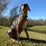 bleux profil fotoğrafı