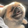 guz's profile picture