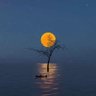 Coaster's profile picture