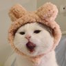 หมางงชีวิต's profile picture