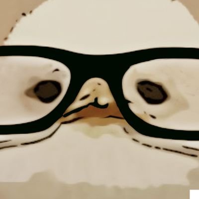 채터's profile picture