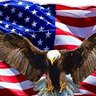 LFdezPolicy's profile picture