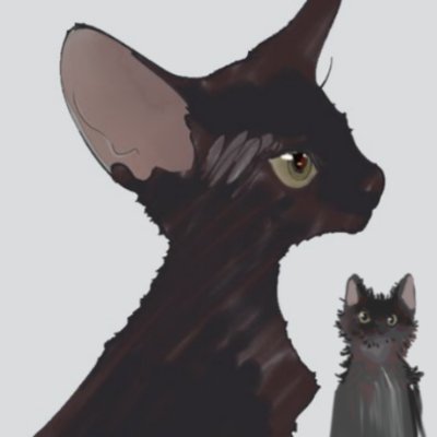 dotkavi's profile picture