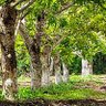 Фото профиля Abdul R Dahir