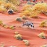 Фото профиля Brahim Ahmad amer