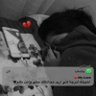 رمزي ابوعرقوب's profile picture