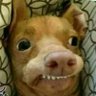 PepitaDobleMoral's profile picture