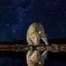 Omar - profil fotoğrafı