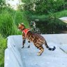 Wu profil fotoğrafı