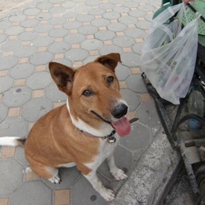KK's profile picture
