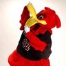 ChickenStillKickin profil fotoğrafı