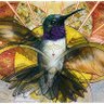 Фото профиля Felz33