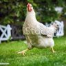 Фото профиля Carlos L