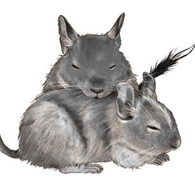 そら人ふう@デグー's profile picture