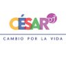 El progresismo debía continuar's profile picture