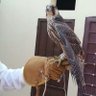 Фото профиля قرناس