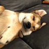 A. H.'s profile picture