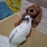 aki eri's profile picture