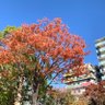 Фото профиля まえだかずえ