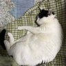 ゆき 的头像