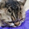 TT profil fotoğrafı