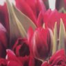 Фото профиля زياد الاميلس