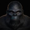 Profilbild von Businge Moses