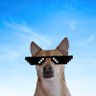 Fletcher's profile picture
