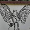 Murchison profil fotoğrafı