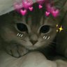 Profilbild von ouioui
