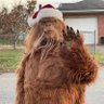 Jeffrey Barton's profile picture