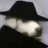 nataxao's profile picture