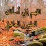 Profilbild von المعتصم بالله