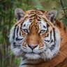 Фото профиля ❤️‍🔥❤️‍🔥❤️‍🔥 Sagar ❤️‍🔥❤️‍🔥❤️‍🔥
