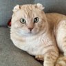 Фото профиля いなっち