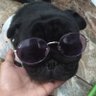 Monfer58 🍉's profile picture