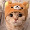 Profilbild von Magnumqt
