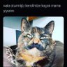 selem's profile picture