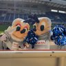 avispa_Rio🐝 profil fotoğrafı