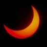 Orange🌙's profile picture