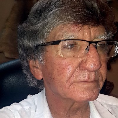 Ami Livnat's profile picture