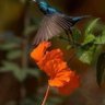 Фото профиля fatima yider